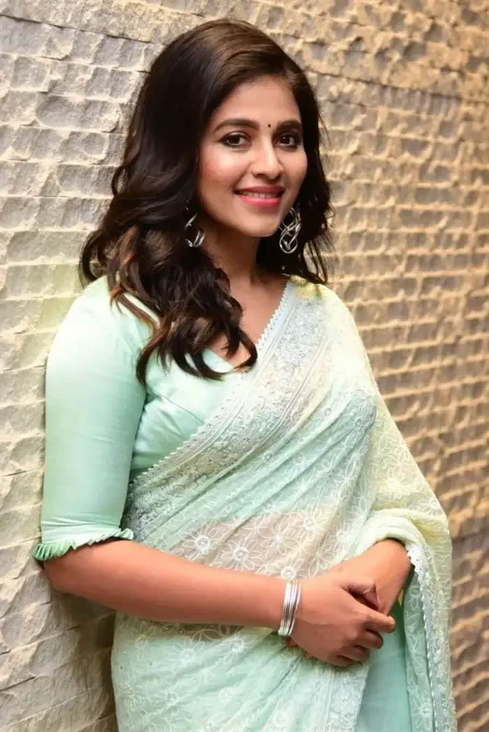 SOUTH INDIAN ACTRESS ANJALI STILLS IN TRADITIONAL LIGHT GREEN SAREE 2